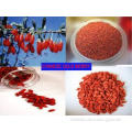 Bulk Soft Chinese Goji Berry 360size For Strengthen Immunit